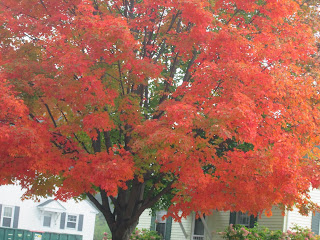 Colorful Cheshire County