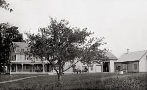 Whitcomb House with horse-drawn carriage, approx. 1880